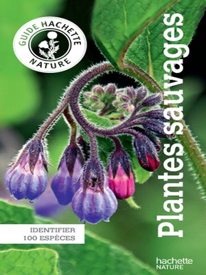 cover image of Le guide Hachette Nature des Plantes Sauvages